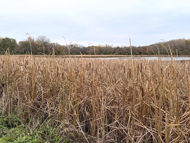 view of local wilderness with a water view