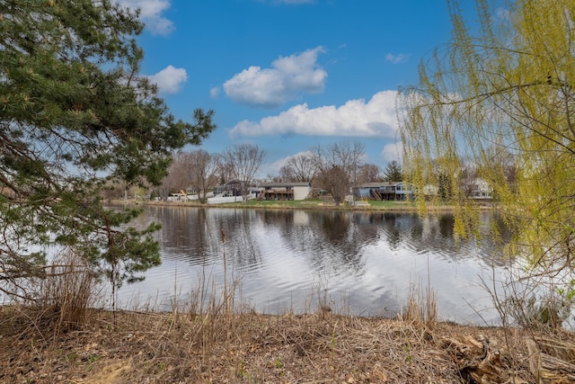 8307 Johnson Ave S, Bloomington, MN 55437 - water view