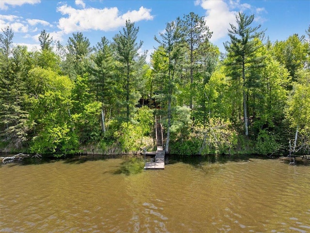 6274 Azalea Rd, Motley Twp, MN 56466 - water view with stairs