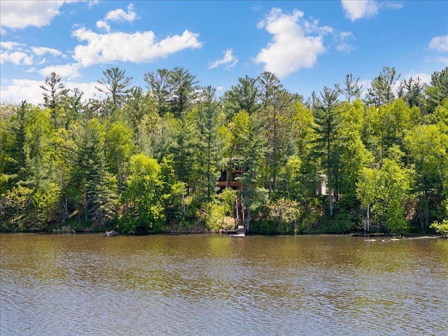 6274 Azalea Rd, Motley Twp, MN 56466 - water view featuring a heavily wooded area