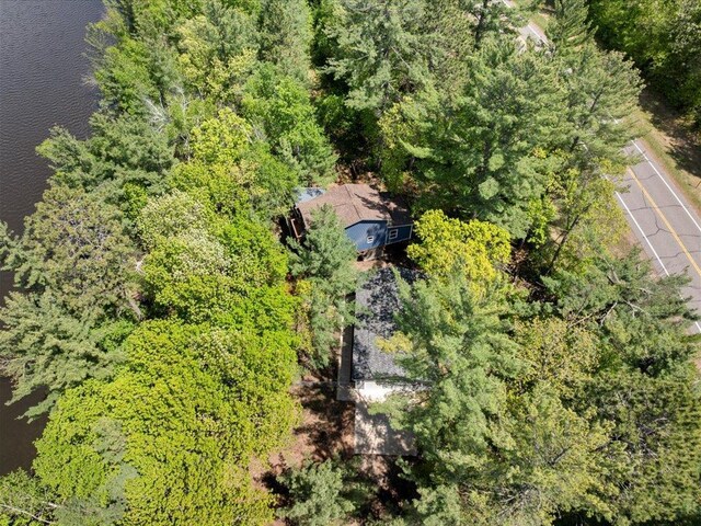 6274 Azalea Rd, Motley Twp, MN 56466 - view from above of property