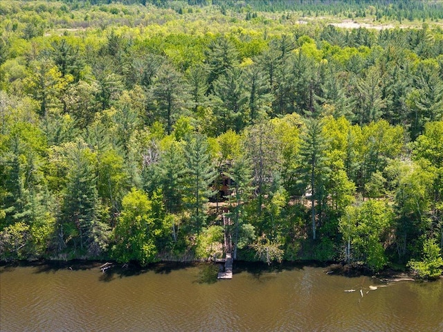 6274 Azalea Rd, Motley Twp, MN 56466 - drone / aerial view of a heavily wooded area and a large body of water