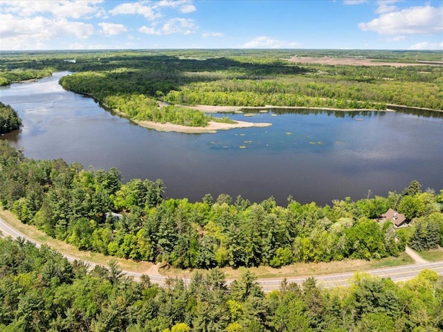 6274 Azalea Rd, Motley Twp, MN 56466 - aerial view of a forest and a nearby body of water