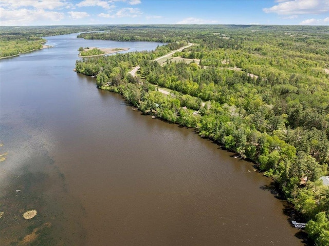 6274 Azalea Rd, Motley Twp, MN 56466 - drone / aerial view of a forest and a large body of water