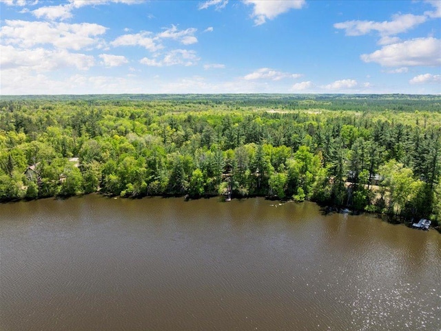 6274 Azalea Rd, Motley Twp, MN 56466 - aerial view of a heavily wooded area and a large body of water