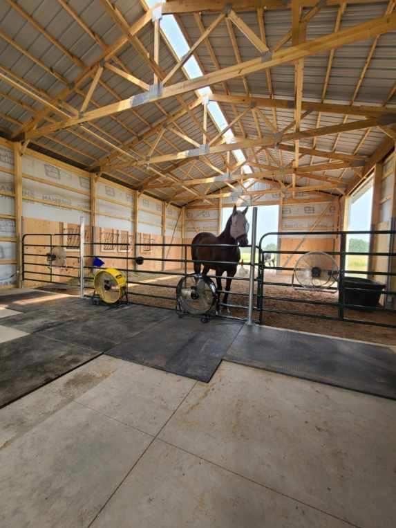 92620 Palon Rd, Sturgeon Lake, MN 55783 - view of horse barn