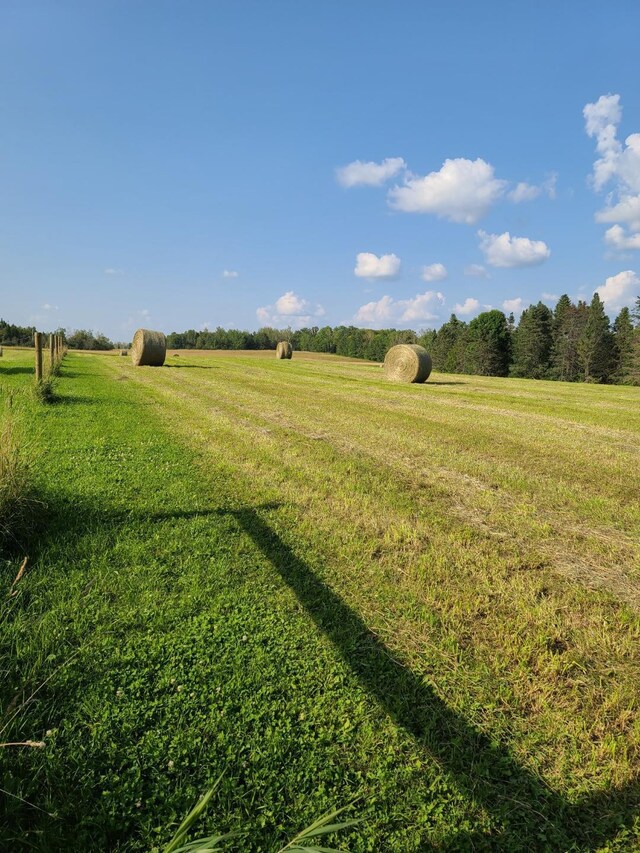 92620 Palon Rd, Sturgeon Lake, MN 55783 - view of yard featuring a rural view