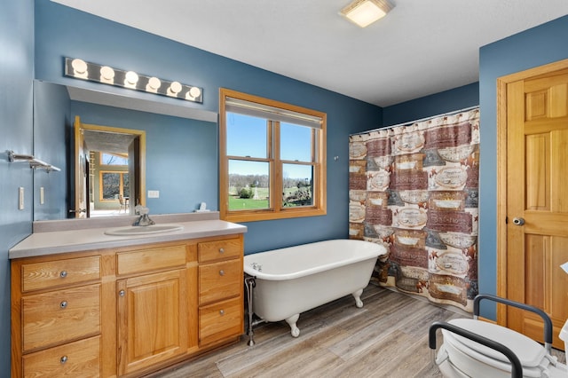 full bathroom with plenty of natural light, a freestanding tub, wood finished floors, and vanity