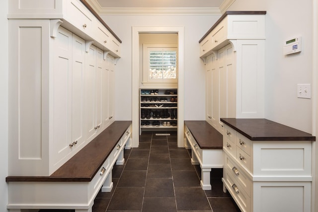 4812 Maple Rd, Edina, MN 55424 - mudroom with crown molding and dark tile patterned flooring