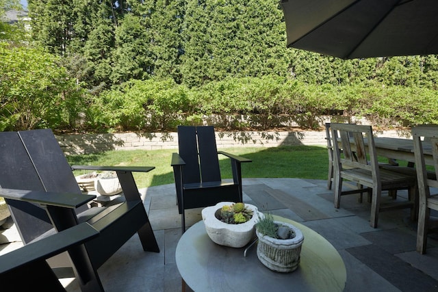 4812 Maple Rd, Edina, MN 55424 - view of patio / terrace
