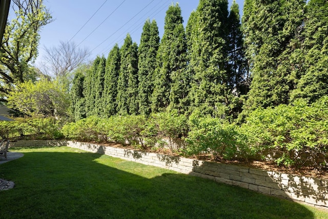 4812 Maple Rd, Edina, MN 55424 - view of grassy yard