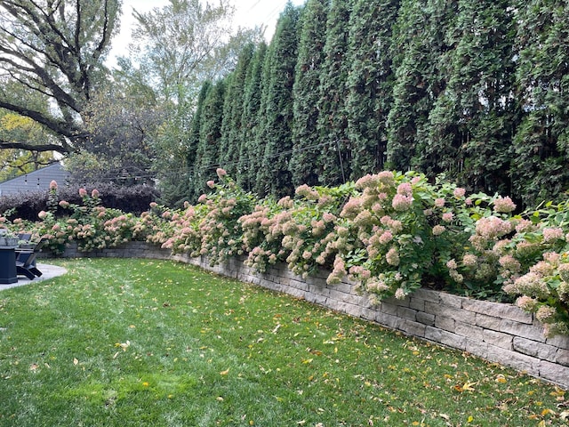 4812 Maple Rd, Edina, MN 55424 - view of green lawn