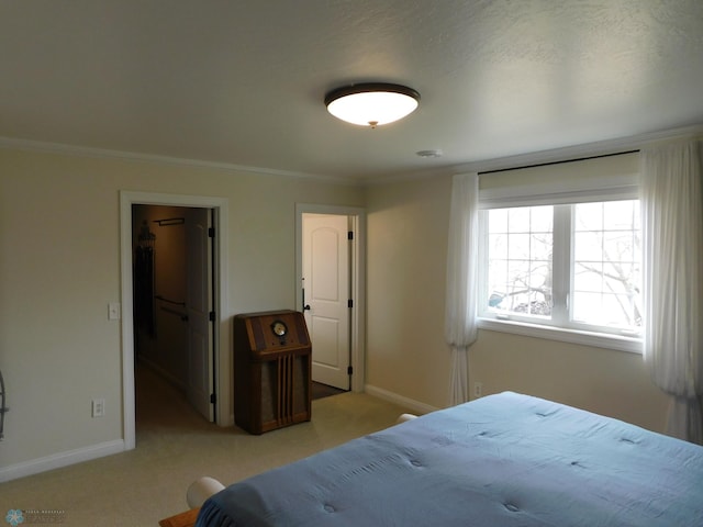 bedroom featuring a spacious closet, ornamental molding, carpet flooring, and baseboards