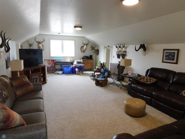 carpeted living area featuring lofted ceiling