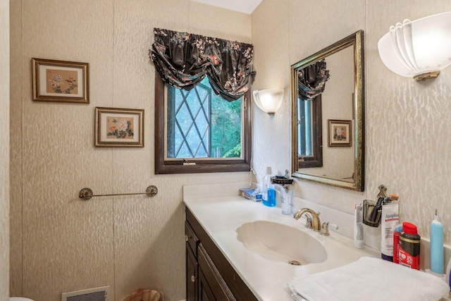 4810 Marystone Blvd NW, Andover, MN 55304 - bathroom featuring vanity