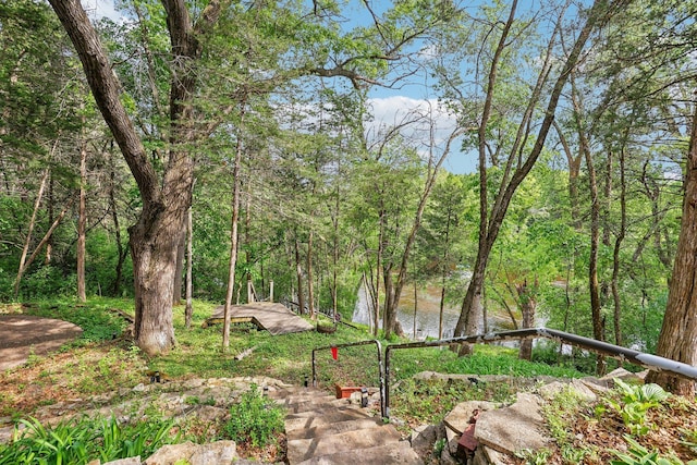 4810 Marystone Blvd NW, Andover, MN 55304 - view of yard