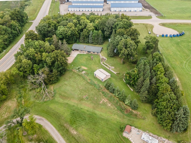 bird's eye view