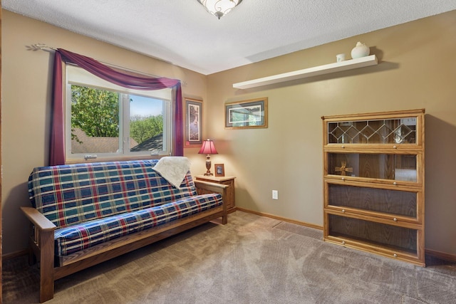 sitting room with carpet floors, baseboards, and a textured ceiling