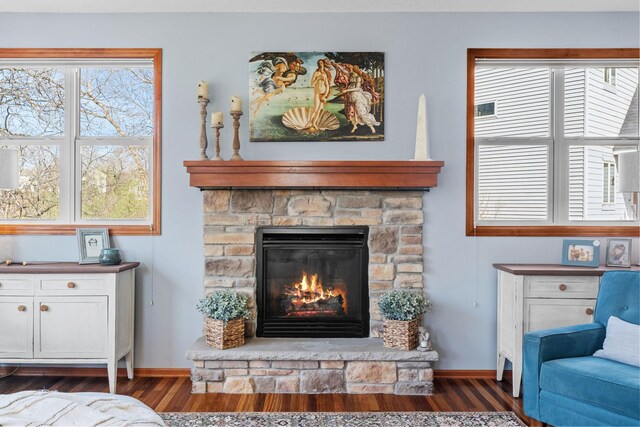 living room featuring baseboards, wood finished floors, and a stone fireplace