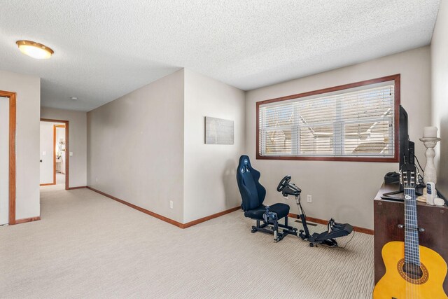 exercise area with baseboards, a textured ceiling, and carpet