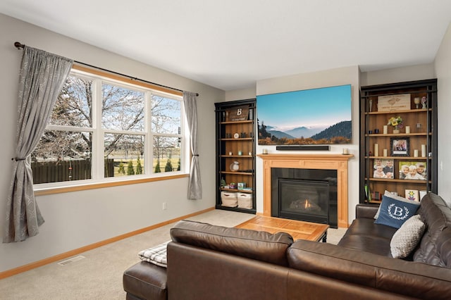 1810 Cherry Cir, Carver, MN 55315 - carpeted living area featuring a glass covered fireplace and baseboards