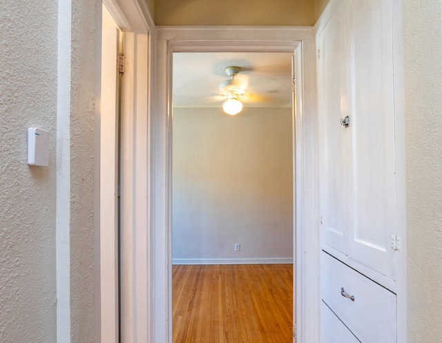 4415 Chowen Ave S Unit 201, Minneapolis, MN 55410 - hallway with wood finished floors and baseboards
