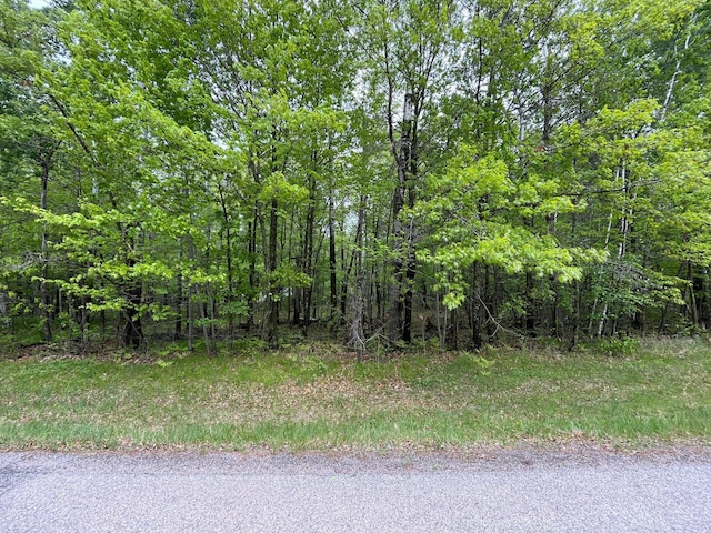 10583 Shore Dr, Merrifield, MN 56465