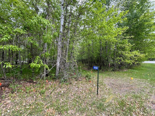 10583 Shore Dr, Merrifield, MN 56465