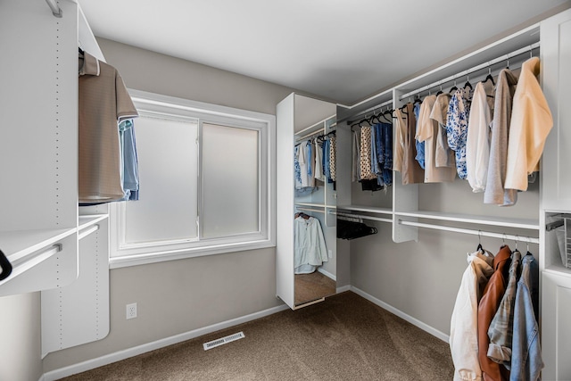14445 Europa Ave, Apple Valley, MN 55124 - walk in closet with carpet floors