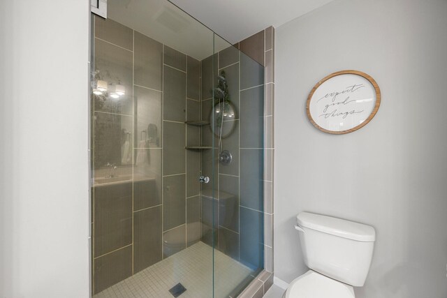 14445 Europa Ave, Apple Valley, MN 55124 - full bathroom featuring a shower stall and toilet