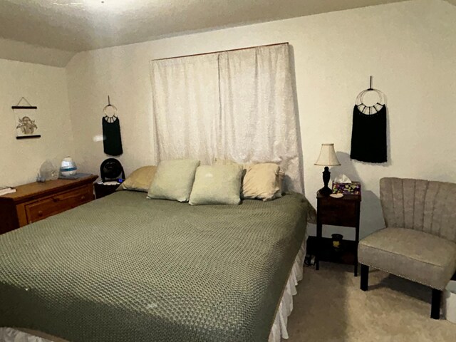 302 Church St, Saint Leo, MN 56264 - view of carpeted bedroom