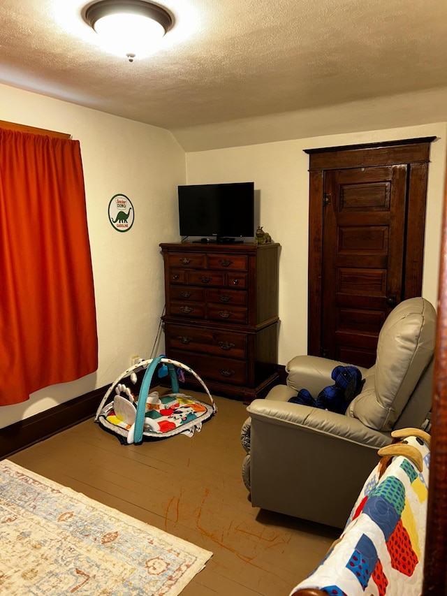 302 Church St, Saint Leo, MN 56264 - living room with wood-type flooring and a textured ceiling
