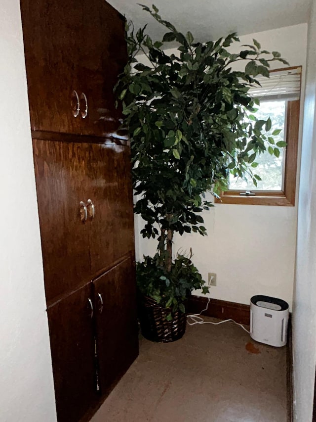 302 Church St, Saint Leo, MN 56264 - interior space