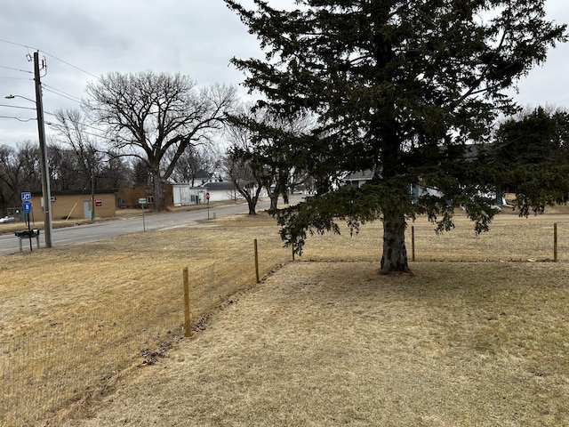 302 Church St, Saint Leo, MN 56264 - view of yard featuring fence