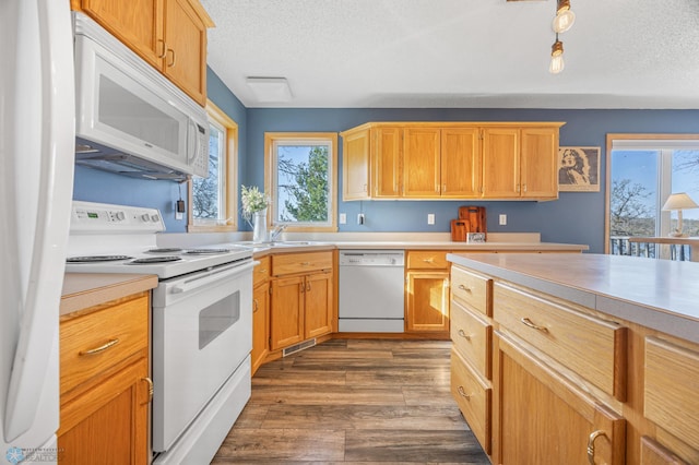 kitchen with a wealth of natural light, white appliances, and light countertops