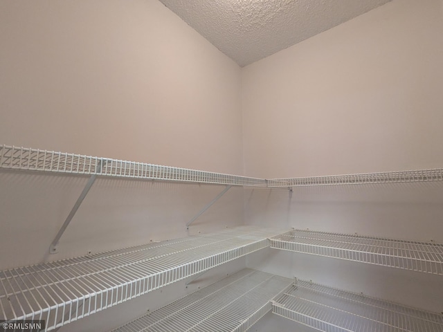 18061 96th Ave N, Maple Grove, MN 55311 - view of pantry