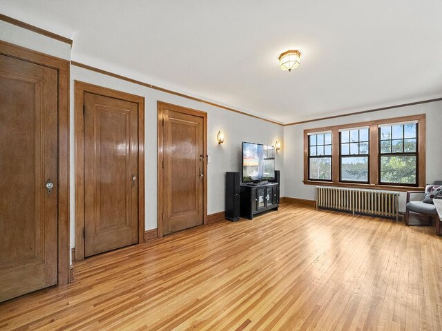 580 Snelling Ave S Unit 4, Saint Paul, MN 55116 - bedroom featuring light wood-style flooring, radiator, multiple closets, crown molding, and baseboards