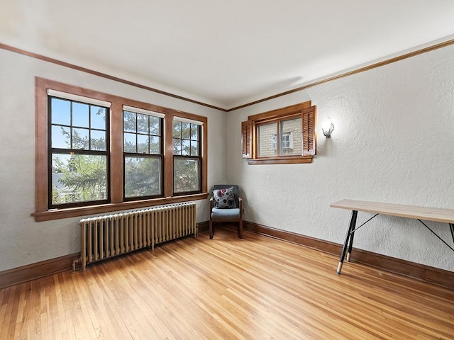 580 Snelling Ave S Unit 4, Saint Paul, MN 55116 - unfurnished room with light wood-style floors, radiator heating unit, and a textured wall