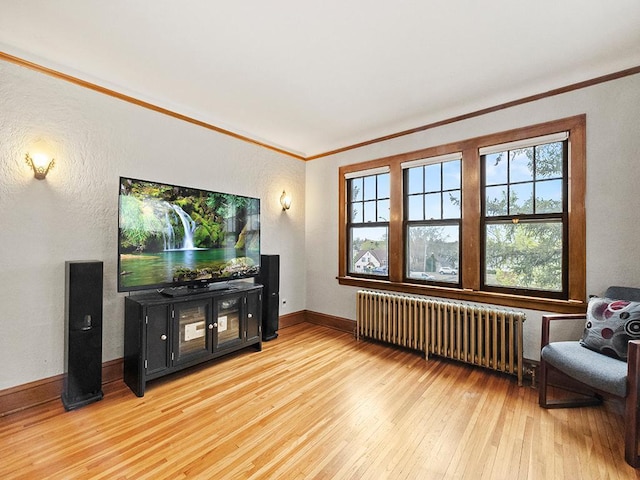 580 Snelling Ave S Unit 4, Saint Paul, MN 55116 - living room featuring radiator, crown molding, light wood finished floors, and a healthy amount of sunlight