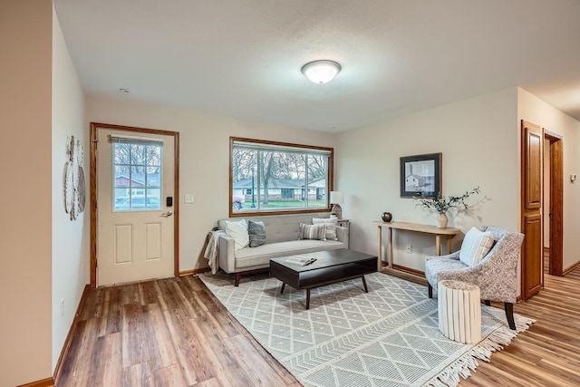 living room featuring baseboards, a healthy amount of sunlight, and light wood-type flooring