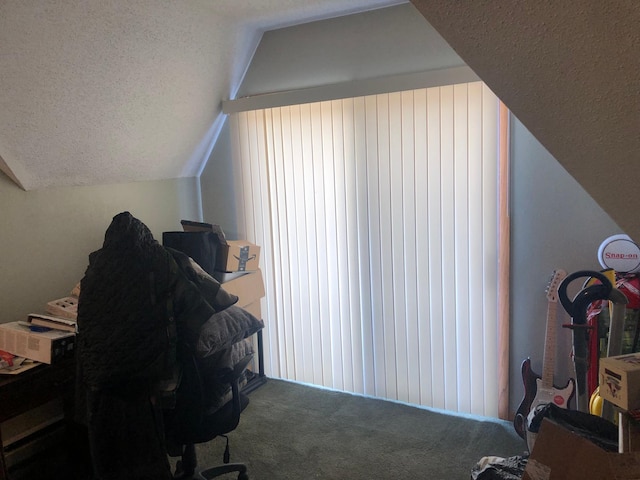 carpeted office space with vaulted ceiling and a textured ceiling
