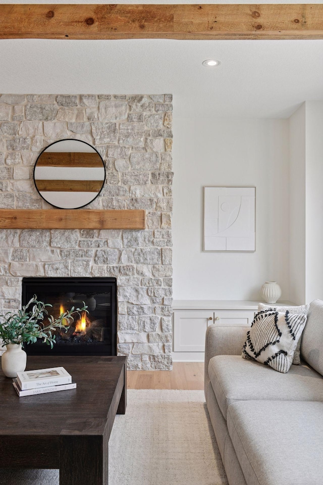 living area featuring wood finished floors and a fireplace