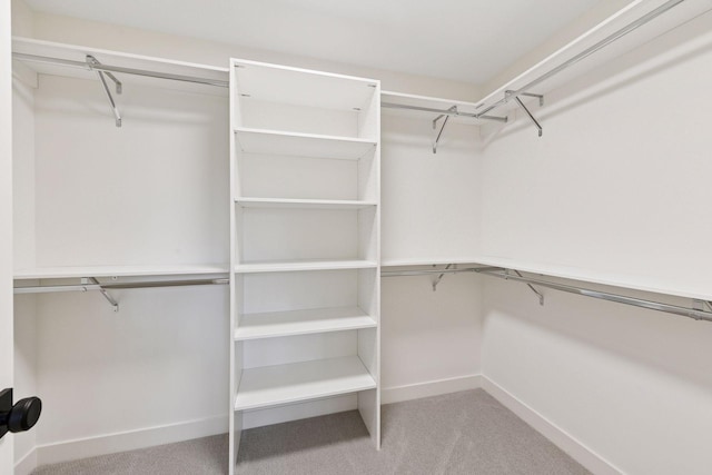 spacious closet featuring carpet flooring