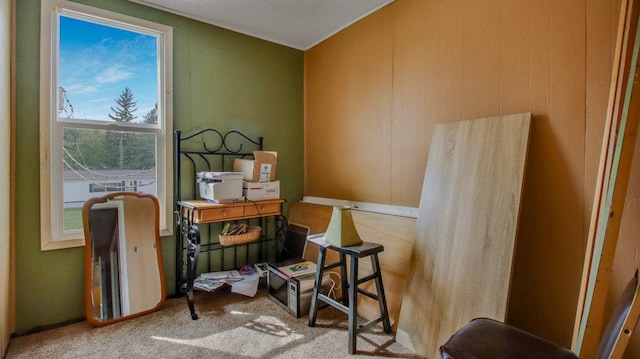 interior space featuring carpet
