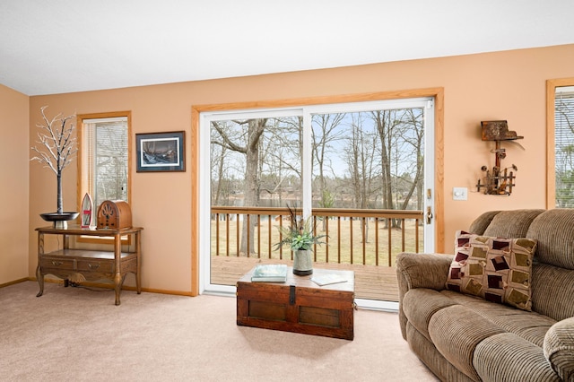 living area featuring carpet, baseboards, and a baseboard heating unit
