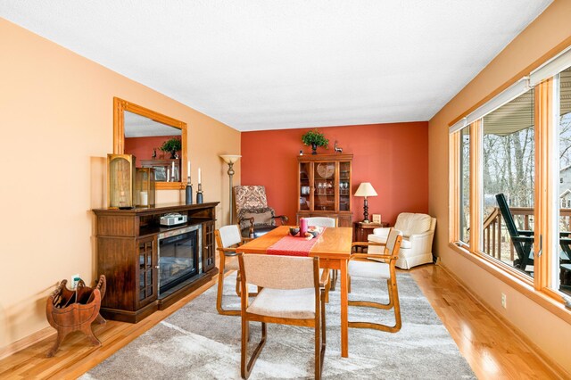 33853 Sand Rd, Sturgeon Lake, MN 55783 - dining space with light wood-style flooring and a glass covered fireplace
