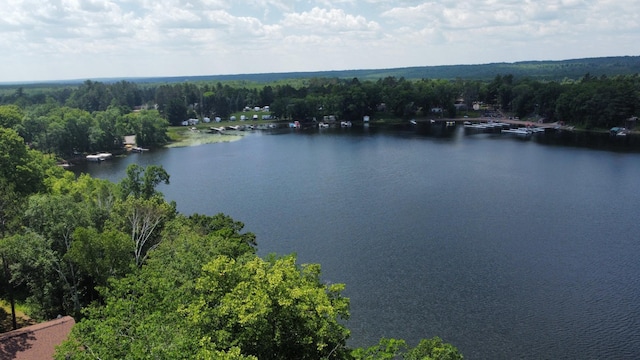 33853 Sand Rd, Sturgeon Lake, MN 55783 - bird's eye view of a nearby body of water and a heavily wooded area