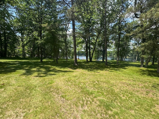 33853 Sand Rd, Sturgeon Lake, MN 55783 - view of green lawn