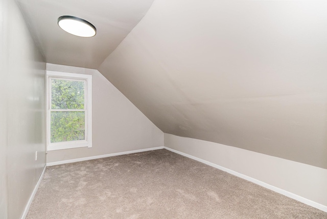 2807 17th Ave S, Minneapolis, MN 55407 - bonus room with carpet floors, lofted ceiling, and baseboards