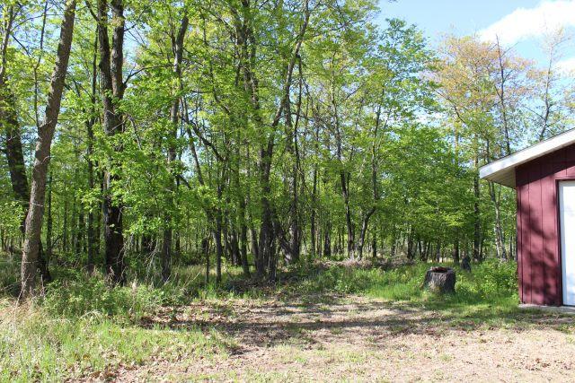 27819 438th Ln, Palisade, MN 56469